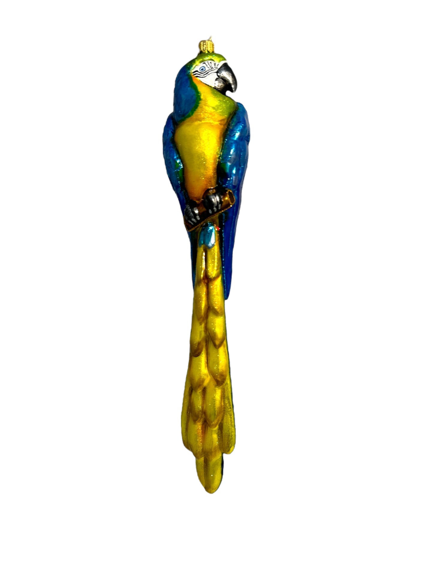 Tropical Blue Parrot with Golden Plumage
